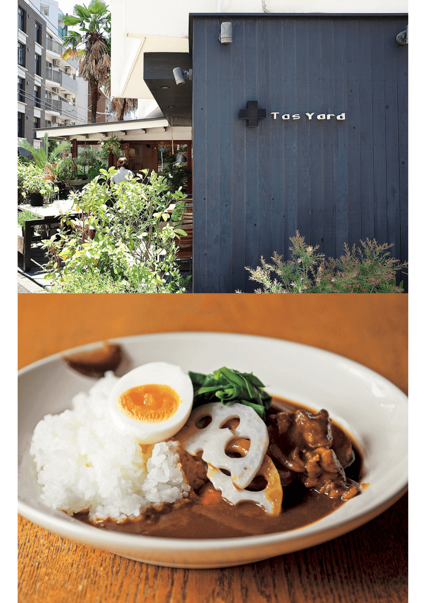 パーソナルカラー診断